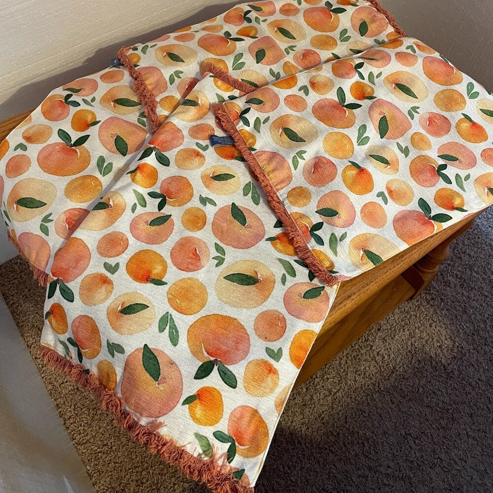 The Prairie by Rachel Ashwell (4) Peach design Placemats  19x13